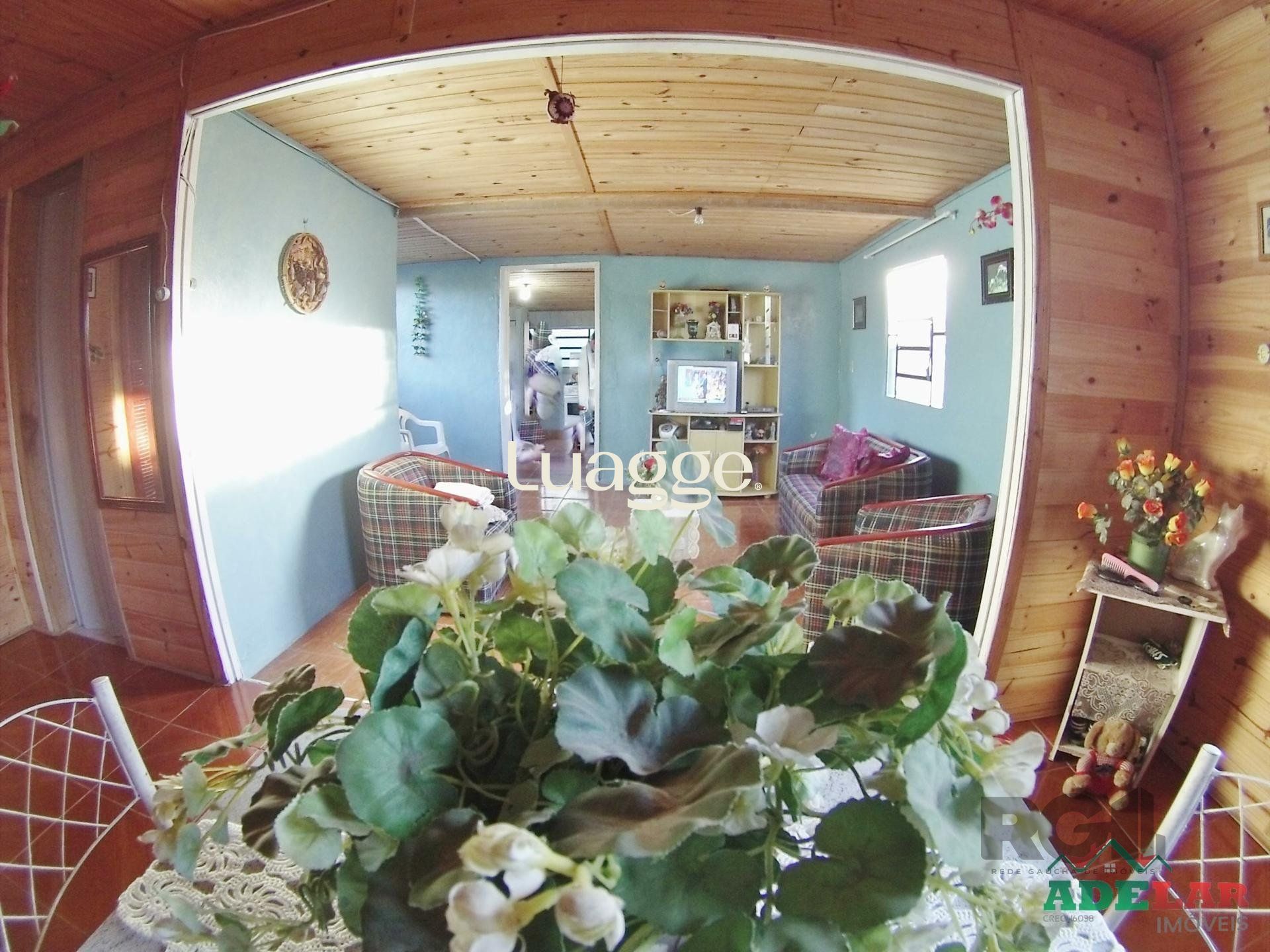 Casa à venda com 2 quartos, 52m² - Foto 21