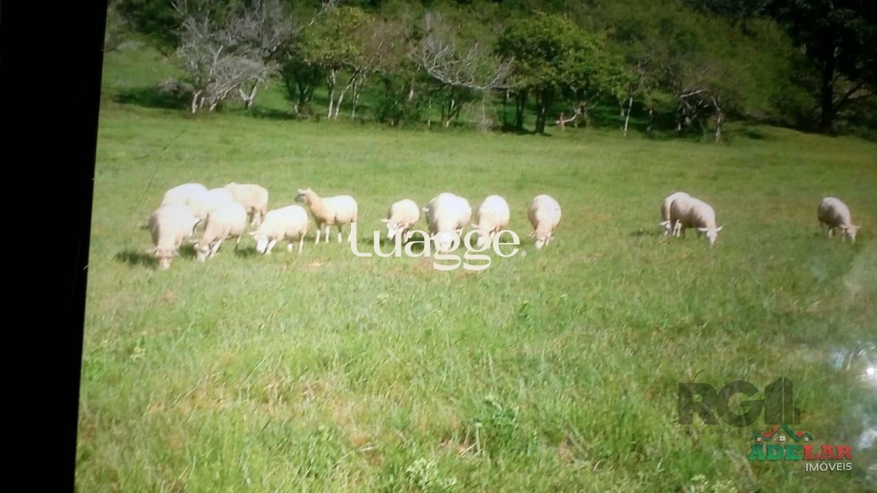 Sítio, 2 quartos, 100001 m² - Foto 38