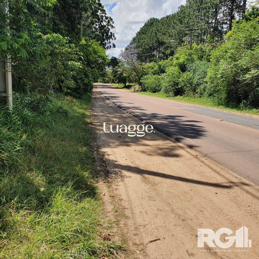 Terreno, 1001 m² - Foto 3