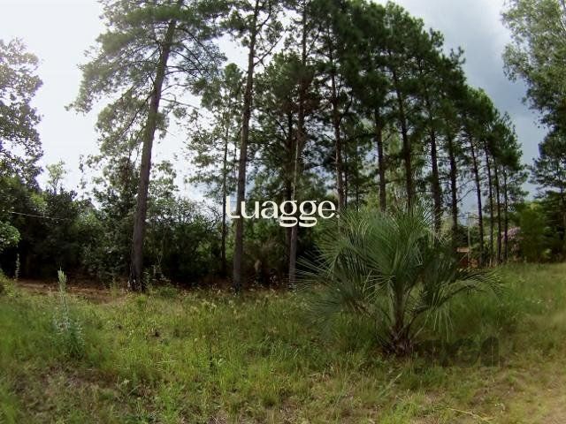 Sítio, 6681 m² - Foto 3