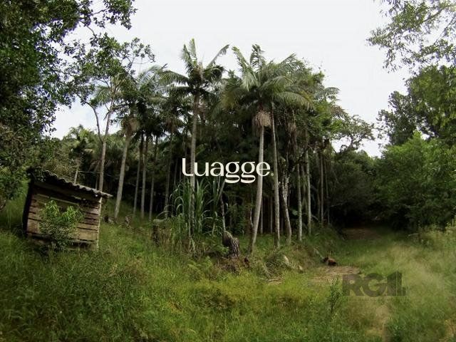 Sítio, 6681 m² - Foto 2