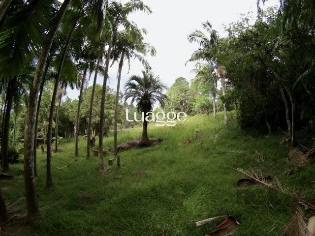 Sítio, 6681 m² - Foto 4