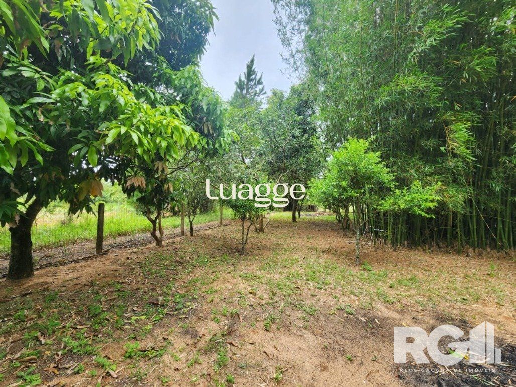 Sítio à venda com 3 quartos, 72m² - Foto 9