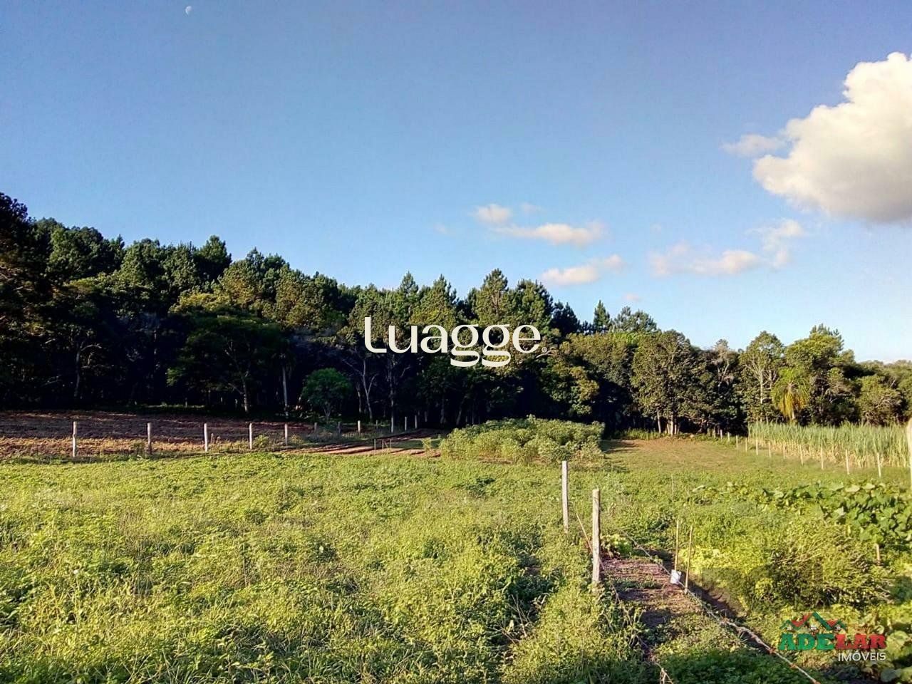 Sítio à venda com 2 quartos, 30002m² - Foto 94