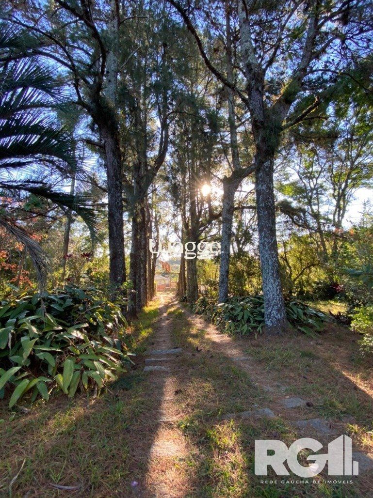 Sítio à venda com 3 quartos, 303m² - Foto 18