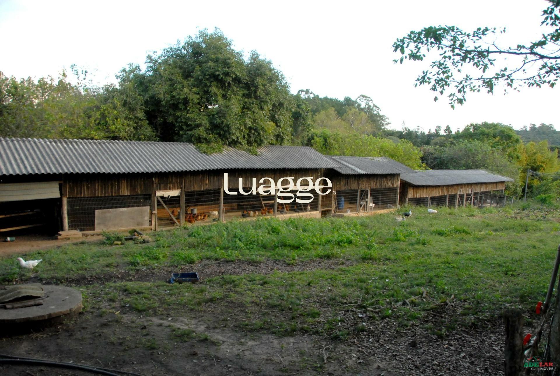 Sítio à venda com 2 quartos, 30002m² - Foto 85