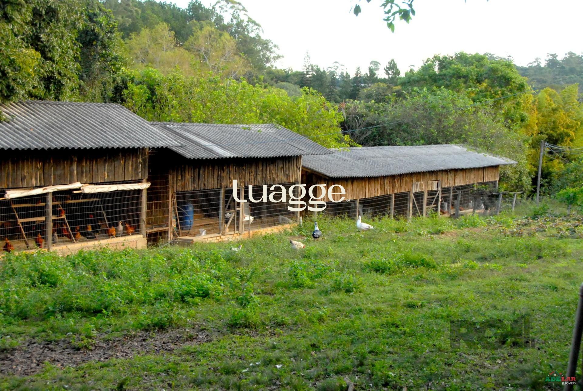 Sítio à venda com 2 quartos, 30002m² - Foto 84