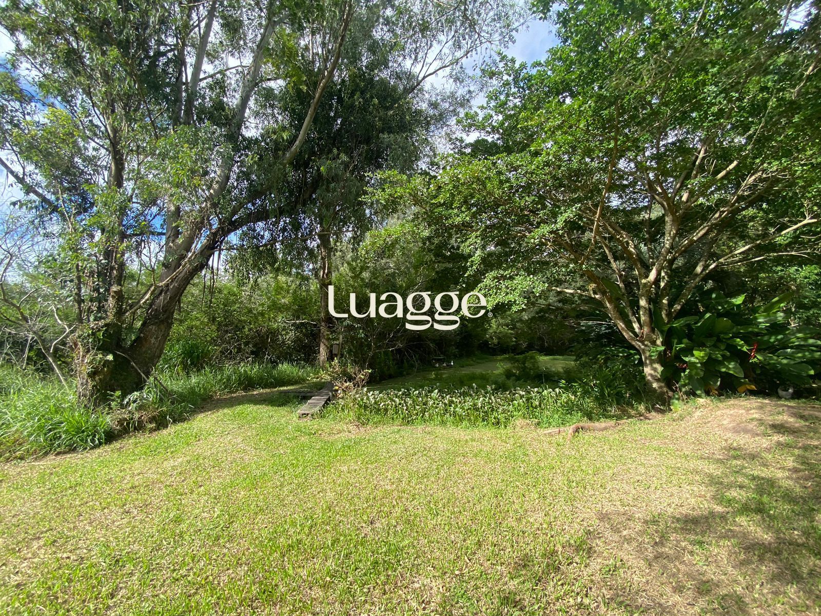 Sítio à venda com 1 quarto, 116m² - Foto 40