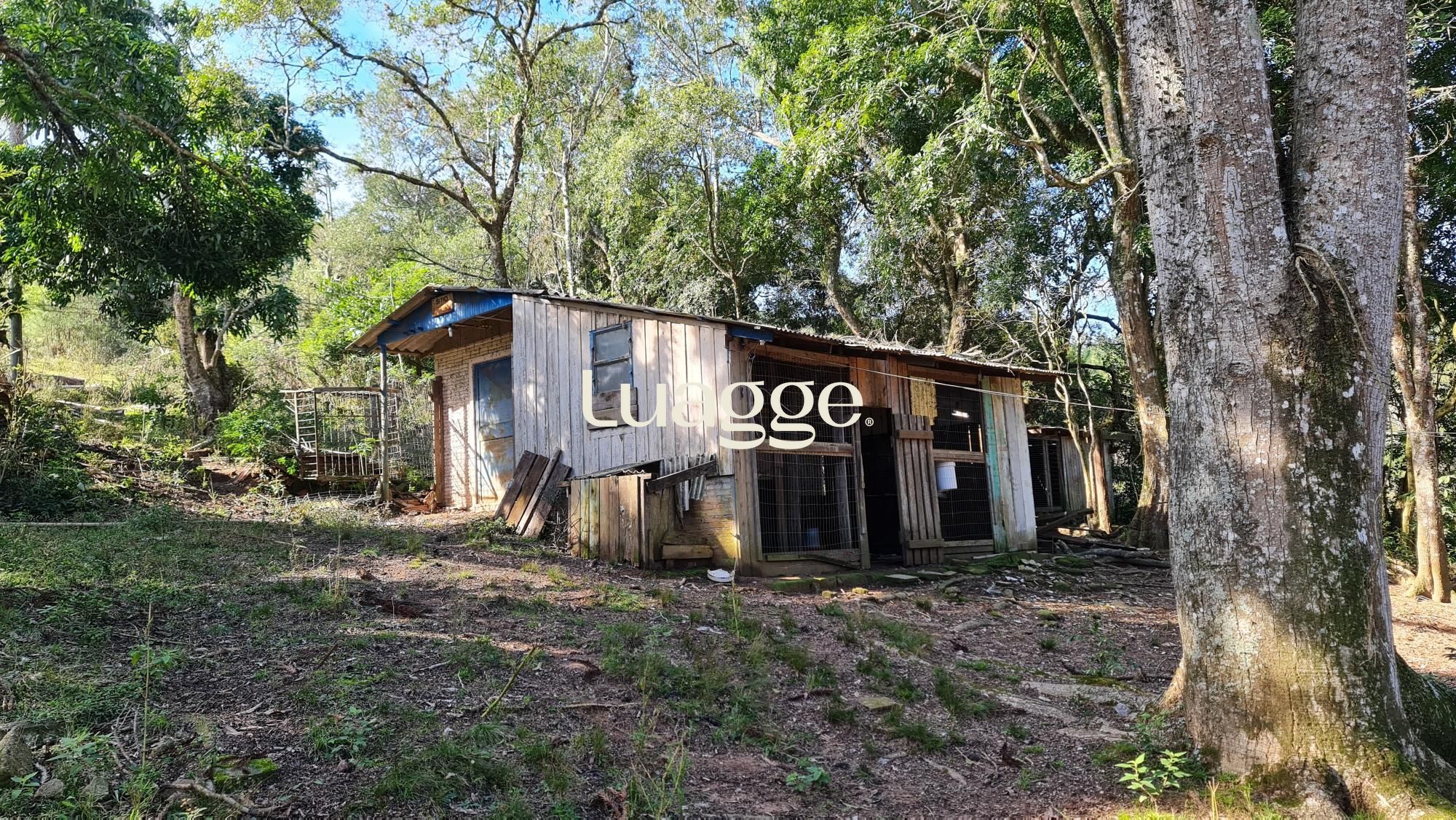 Chácara à venda com 2 quartos, 2m² - Foto 6