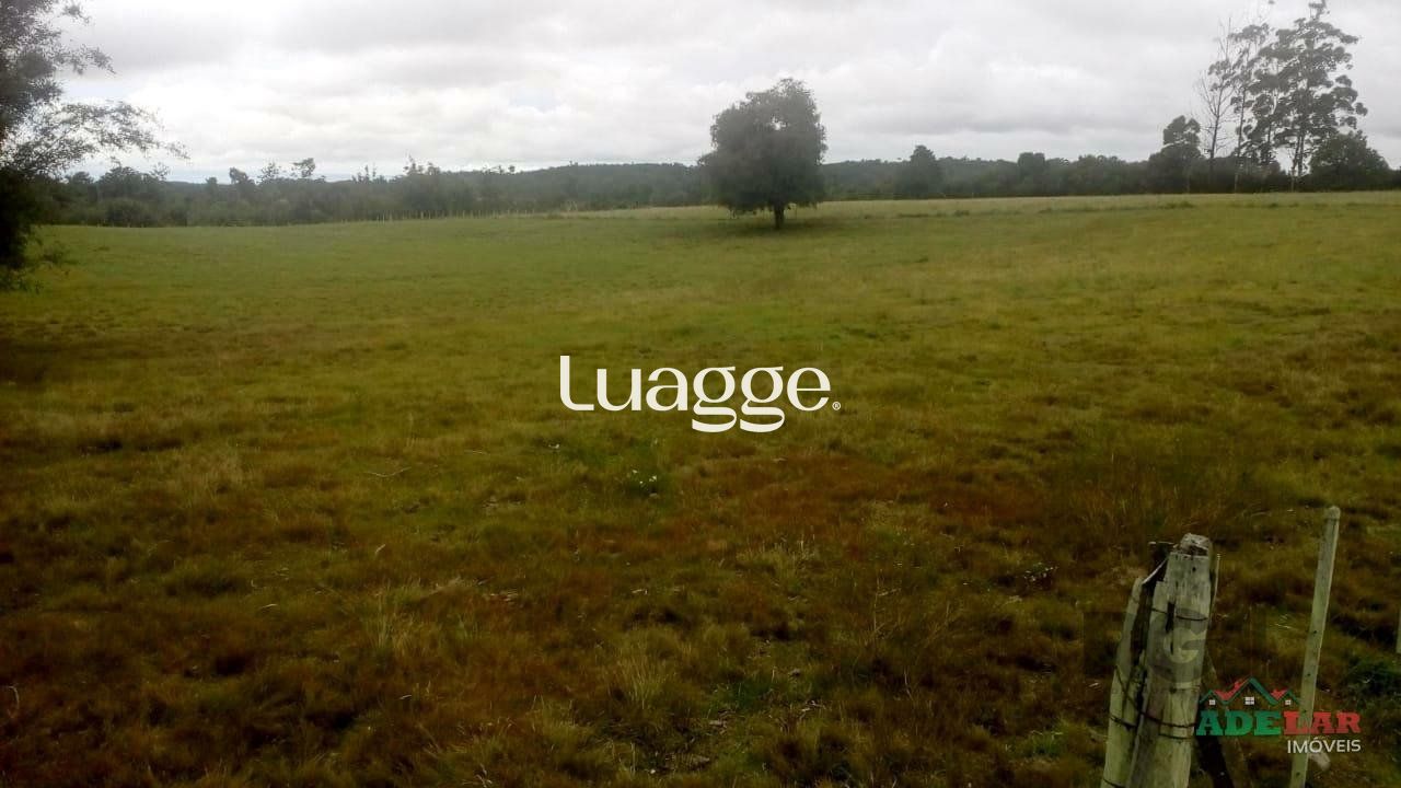 Sítio, 2 quartos, 100001 m² - Foto 32