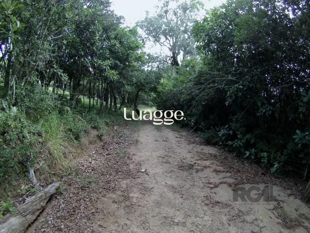 Sítio, 6681 m² - Foto 15