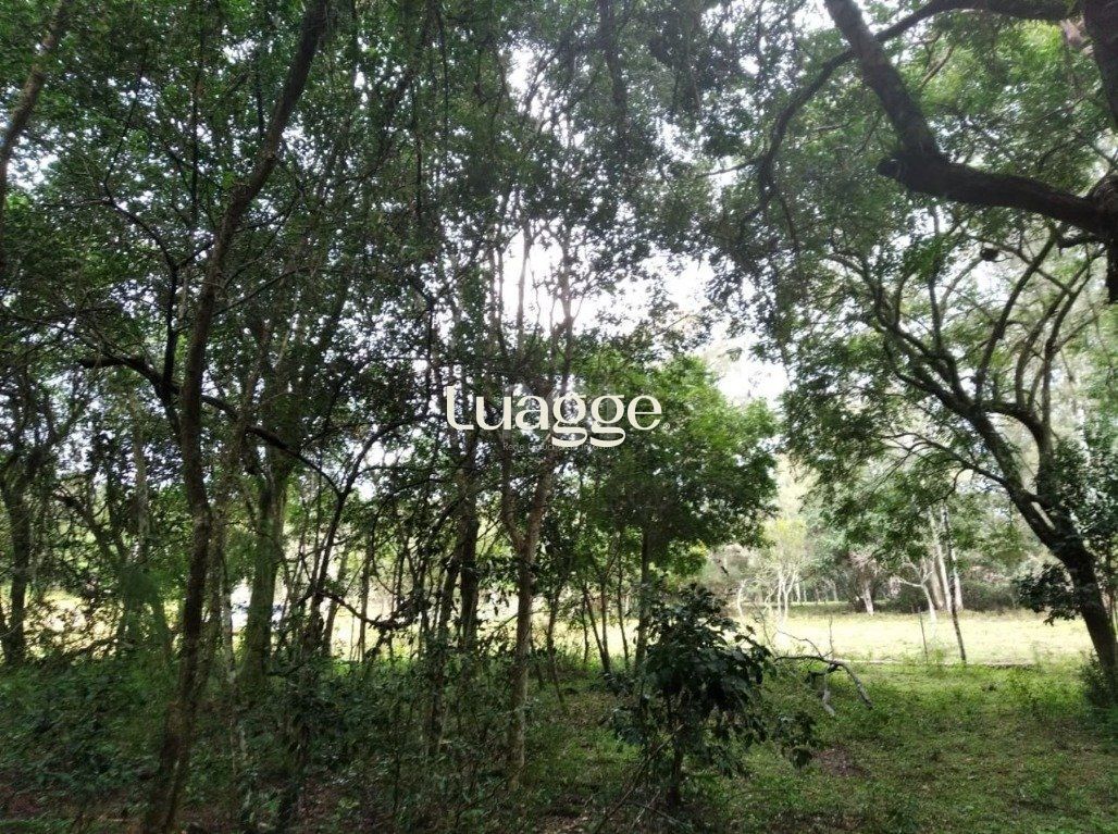 Terreno, 2501 m² - Foto 2