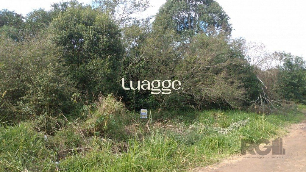 Terreno, 301 m² - Foto 1