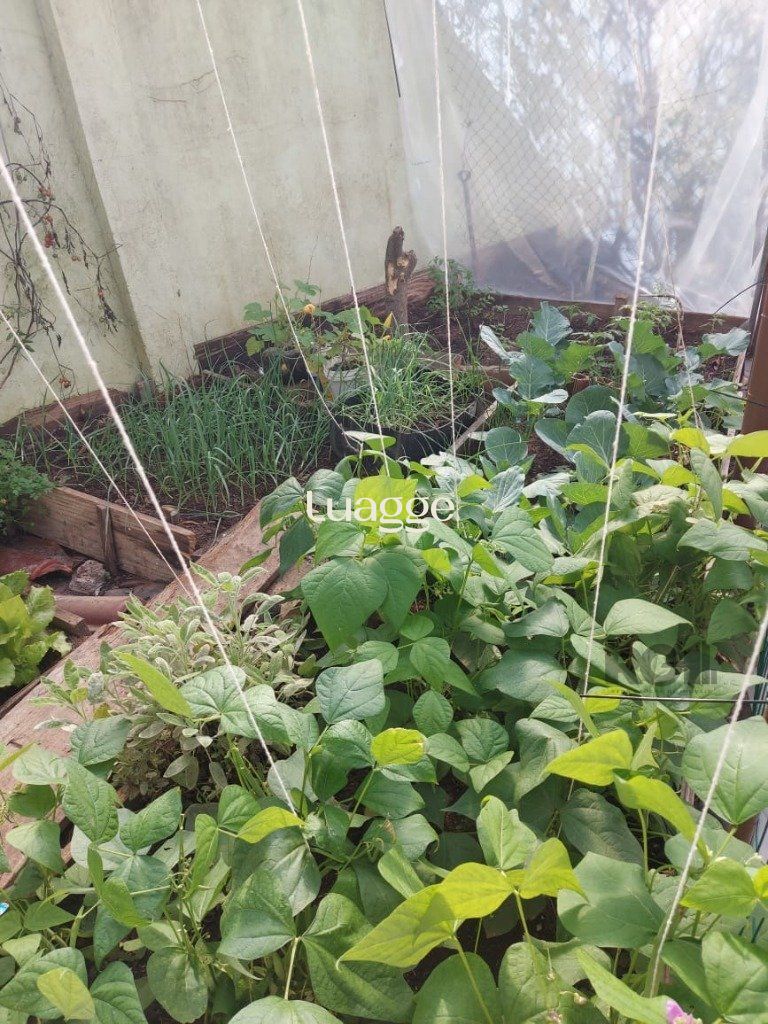Casa à venda com 4 quartos, 402m² - Foto 60