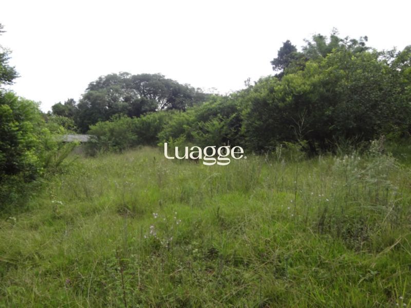 Terreno à venda, 5082m² - Foto 5