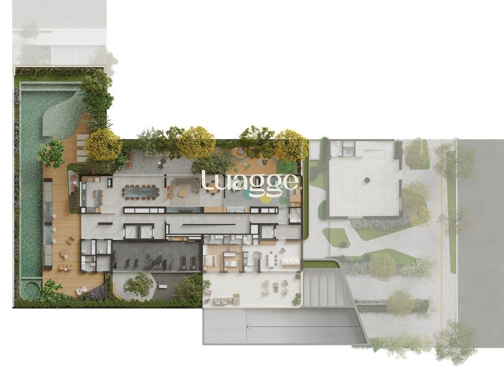 Plantas