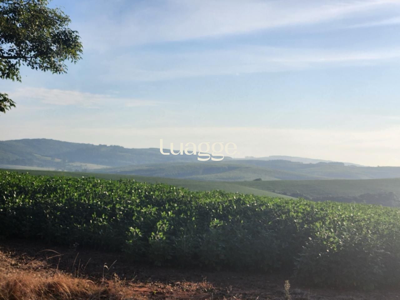 Fazenda à venda com 3 quartos, 251m² - Foto 2