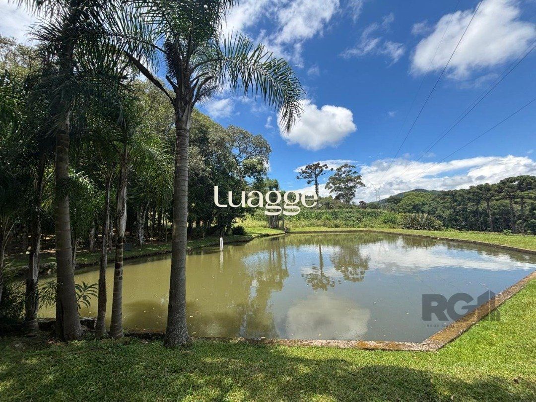 Sítio à venda com 6 quartos, 229m² - Foto 9