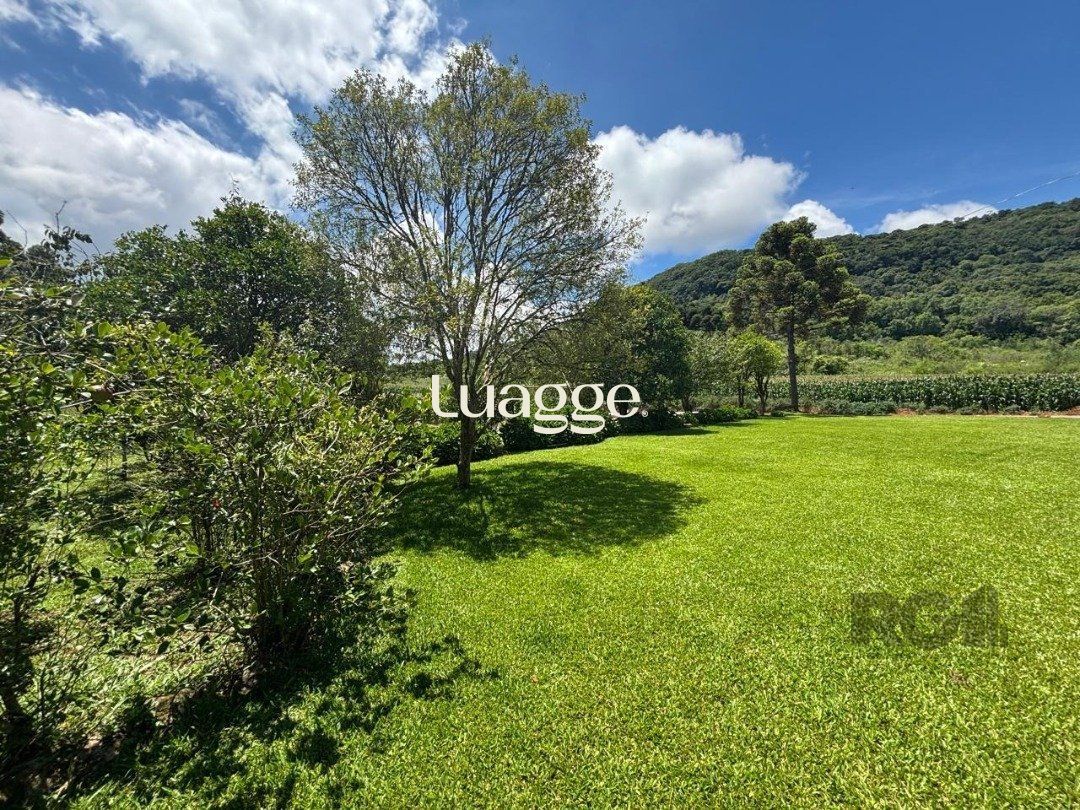 Sítio à venda com 6 quartos, 229m² - Foto 13