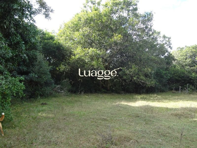 Terreno à venda, 145002m² - Foto 3