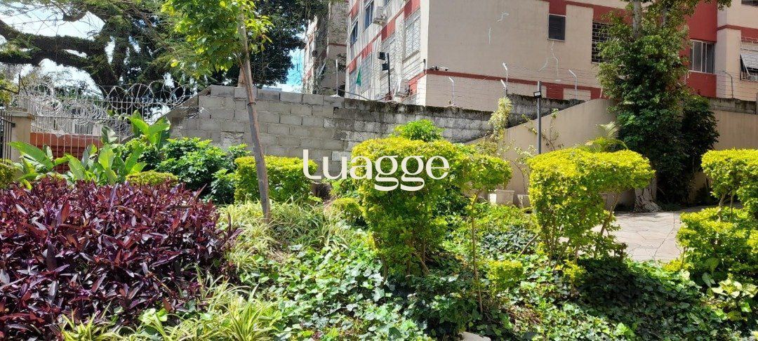 Apartamento à venda com 3 quartos, 79m² - Foto 23
