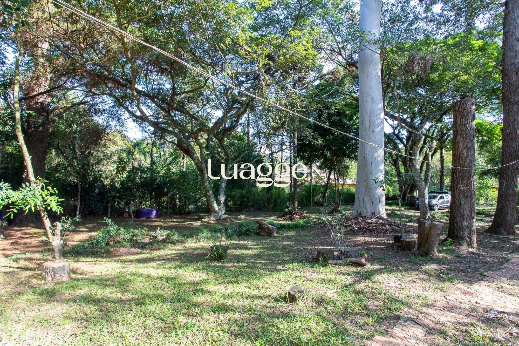 Sítio à venda com 1 quarto, 99m² - Foto 3