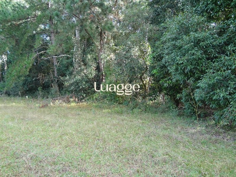 Terreno à venda, 145002m² - Foto 4
