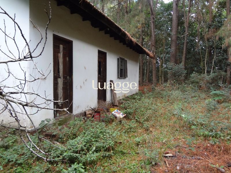 Terreno à venda, 145002m² - Foto 11