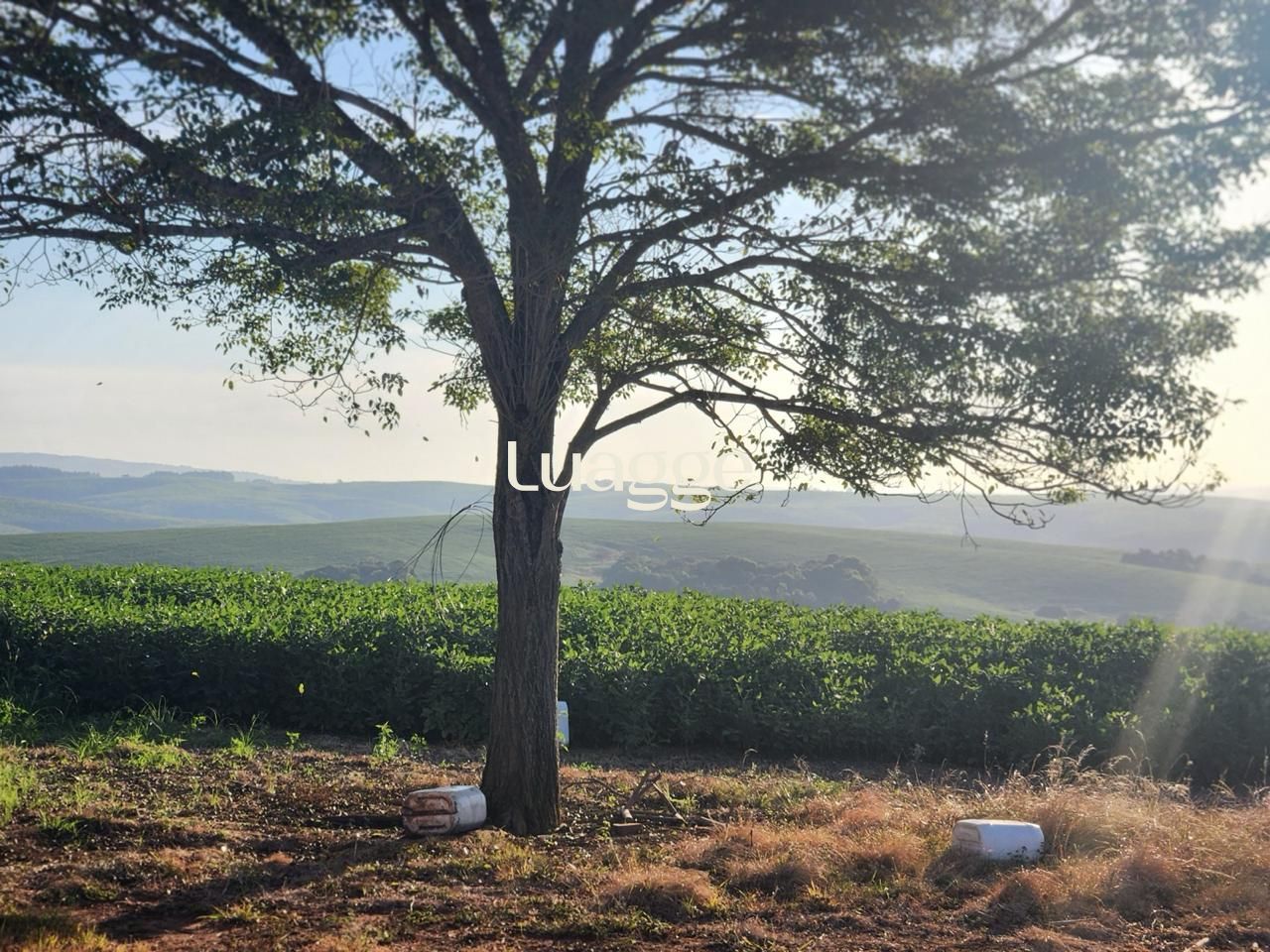 Fazenda à venda com 3 quartos, 251m² - Foto 6