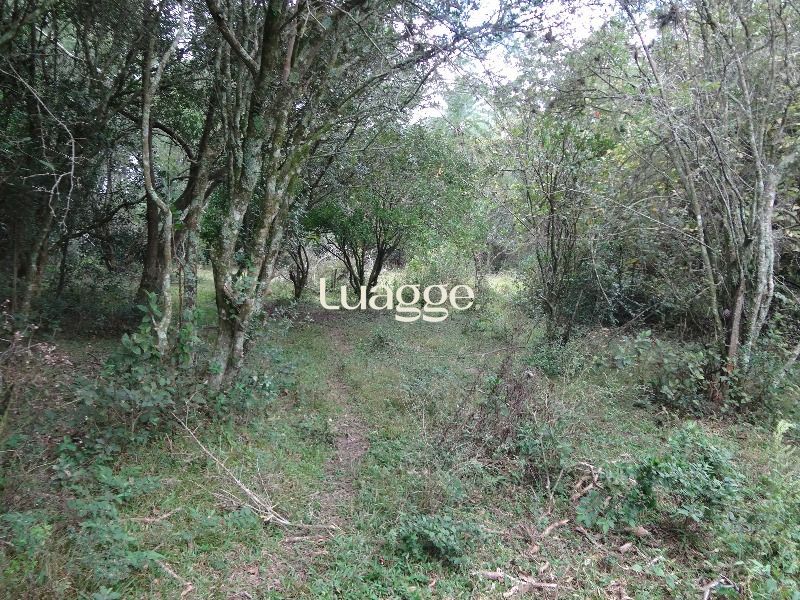 Terreno à venda, 145002m² - Foto 17