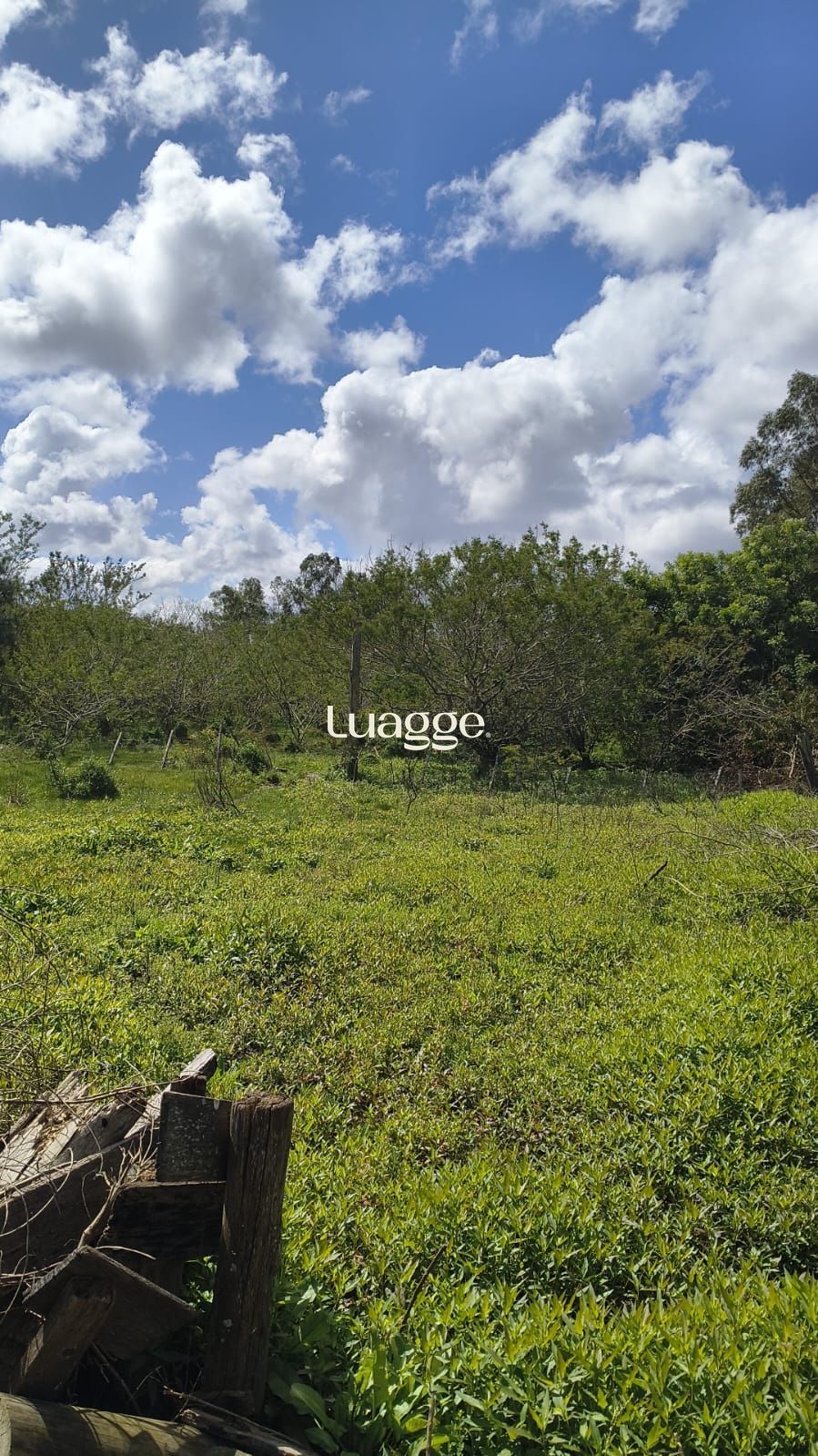 Terreno, à venda, Lami - Porto Alegre — foto 5