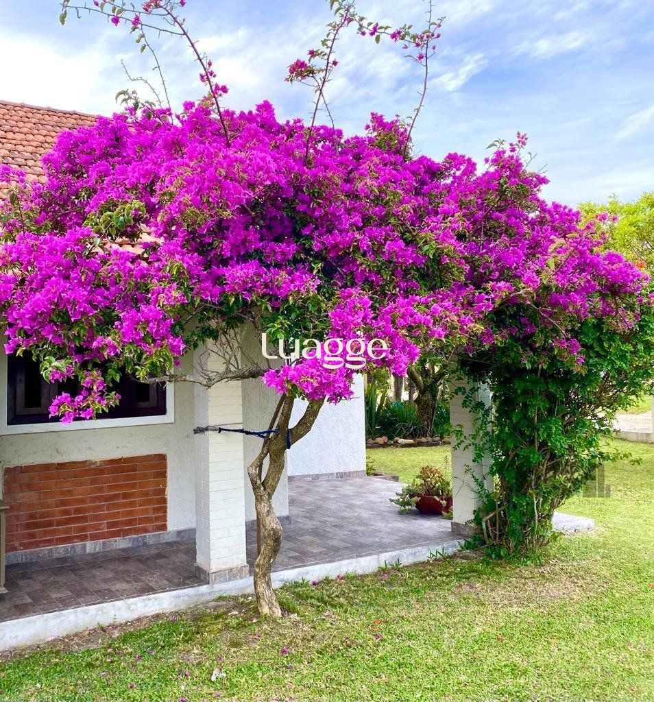 Casa à venda com 5 quartos, 140m² - Foto 1