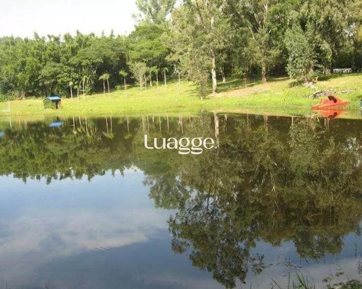 Sítio à venda com 5 quartos, 201m² - Foto 5