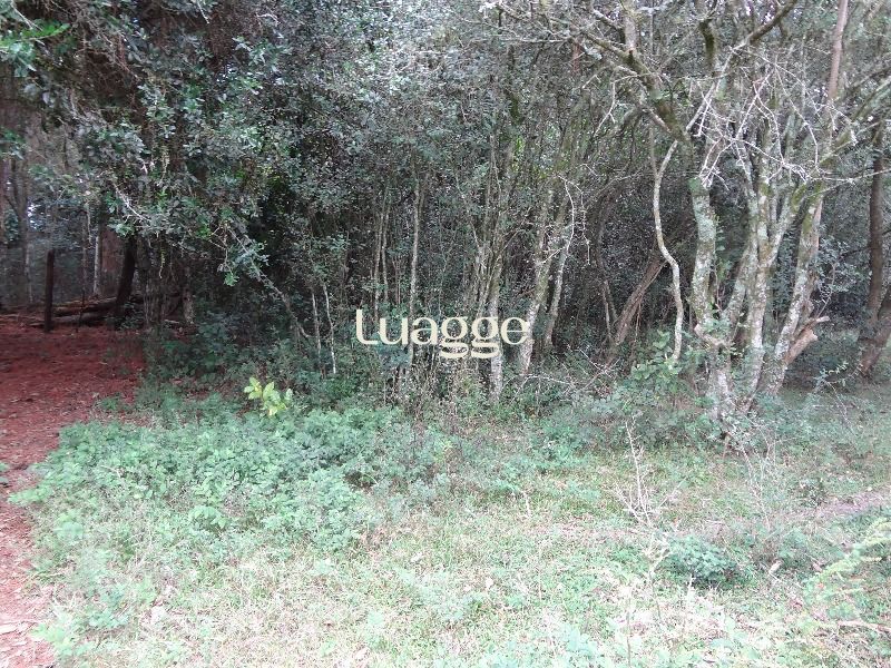 Terreno à venda, 145002m² - Foto 18
