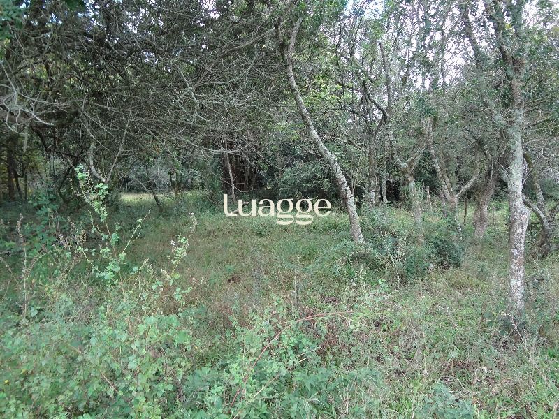 Terreno à venda, 145002m² - Foto 21
