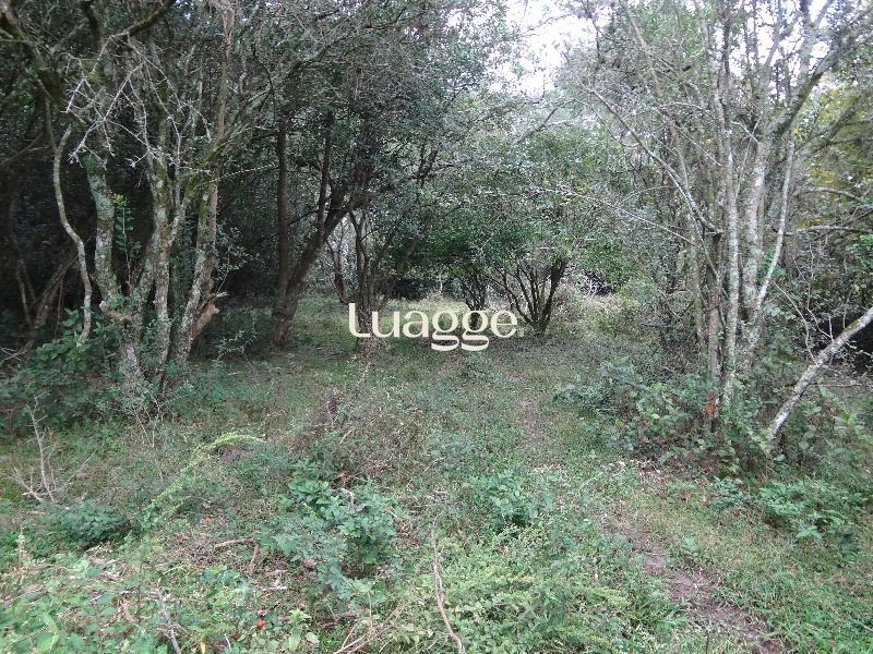 Terreno à venda, 145002m² - Foto 19