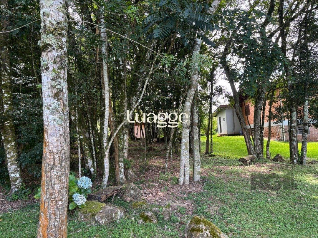 Sítio à venda com 6 quartos, 229m² - Foto 12