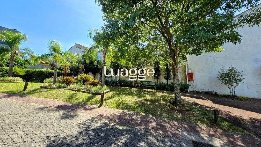 Terreno à venda, 242m² - Foto 9