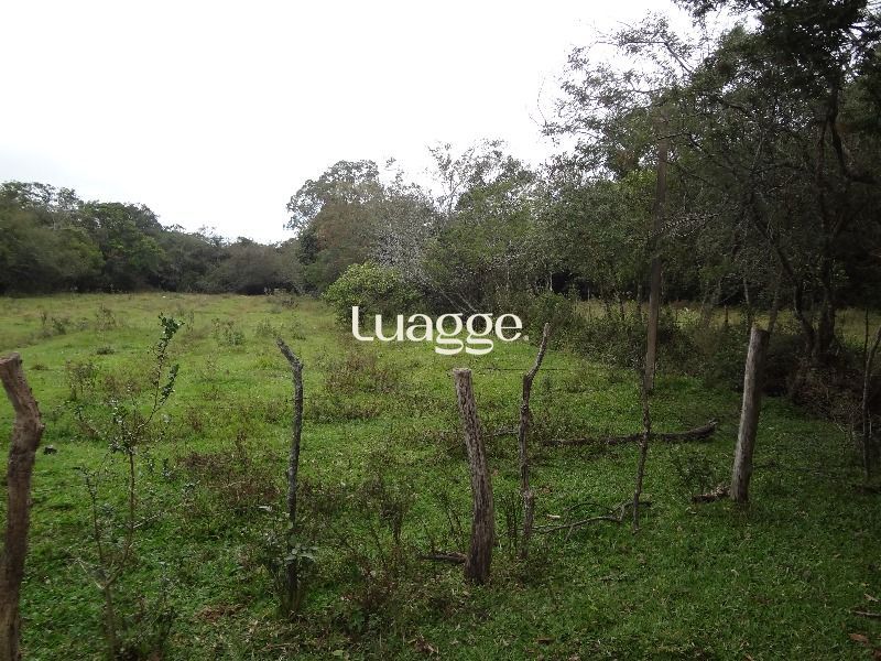 Terreno à venda, 145002m² - Foto 20