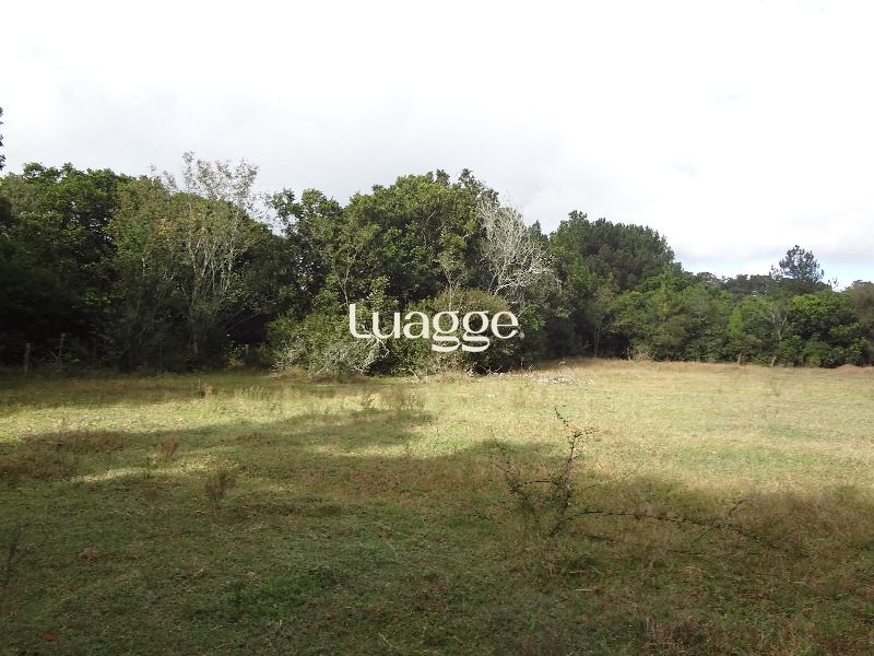 Terreno à venda, 145002m² - Foto 2