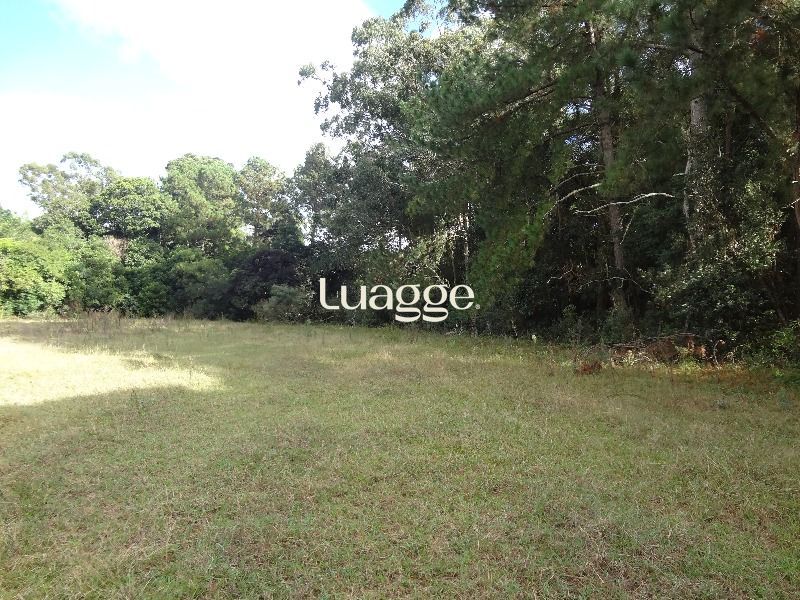 Terreno à venda, 145002m² - Foto 5