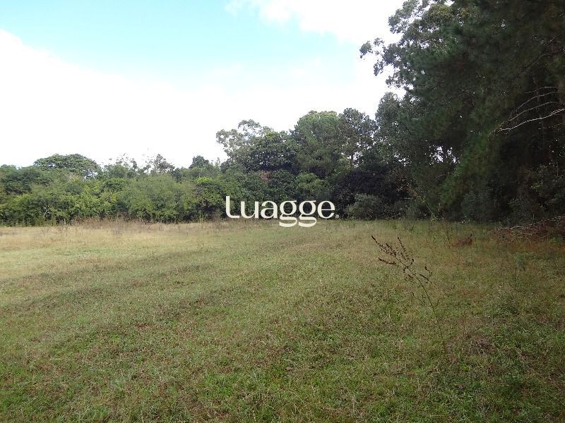 Terreno à venda, 145002m² - Foto 1