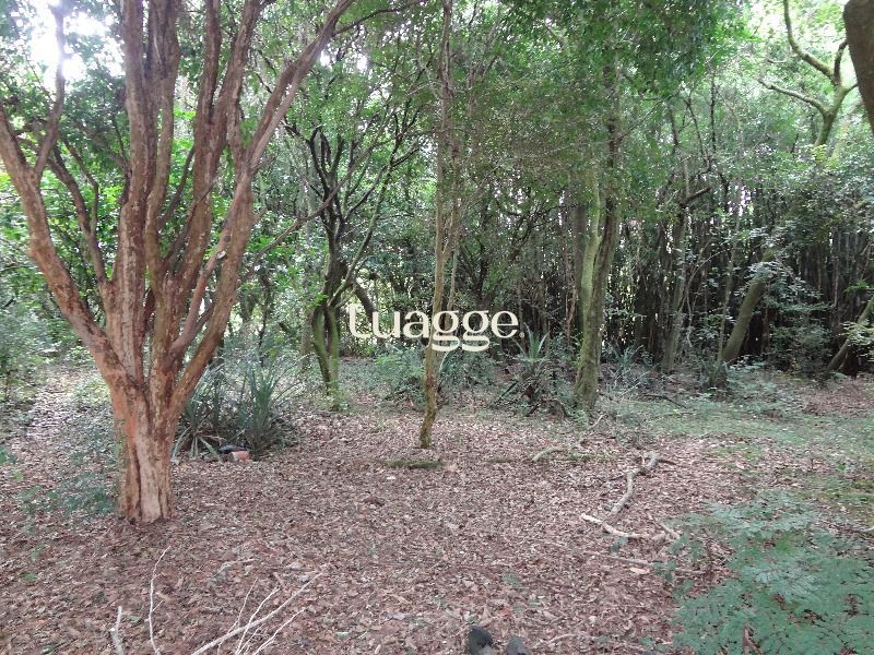 Terreno à venda, 145002m² - Foto 10