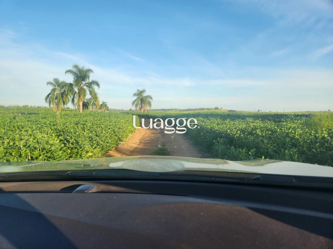 Fazenda à venda com 3 quartos, 251m² - Foto 1