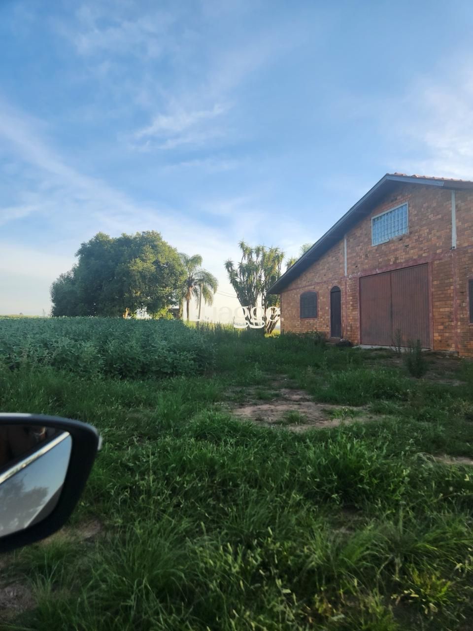 Fazenda à venda com 3 quartos, 251m² - Foto 7