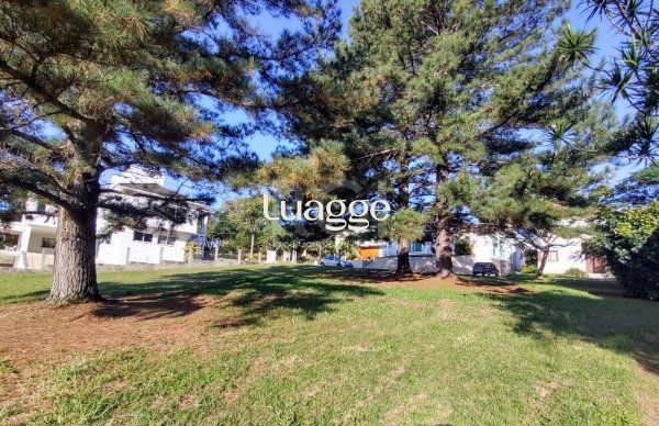 Terreno à venda, 722m² - Foto 7