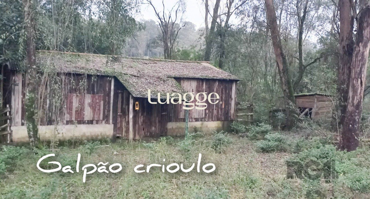 Sítio à venda com 3 quartos, 6735m² - Foto 10
