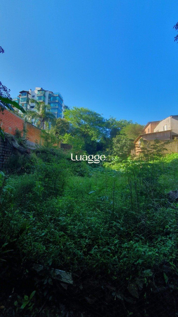 Casa à venda com 3 quartos, 126m² - Foto 77
