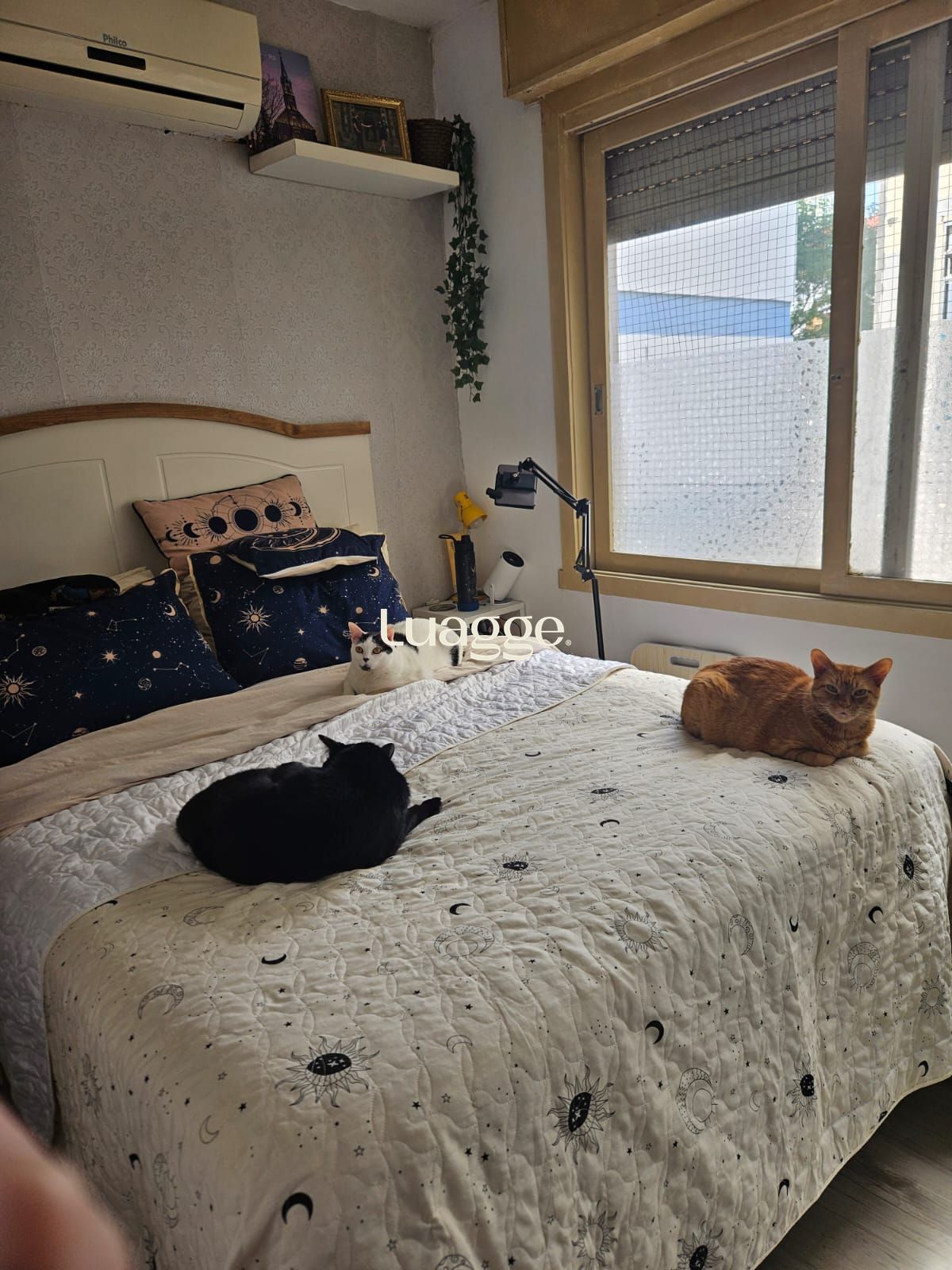 Apartamento, 1 quarto, à venda, 31 m², Santa Cecília - Porto Alegre — foto 2