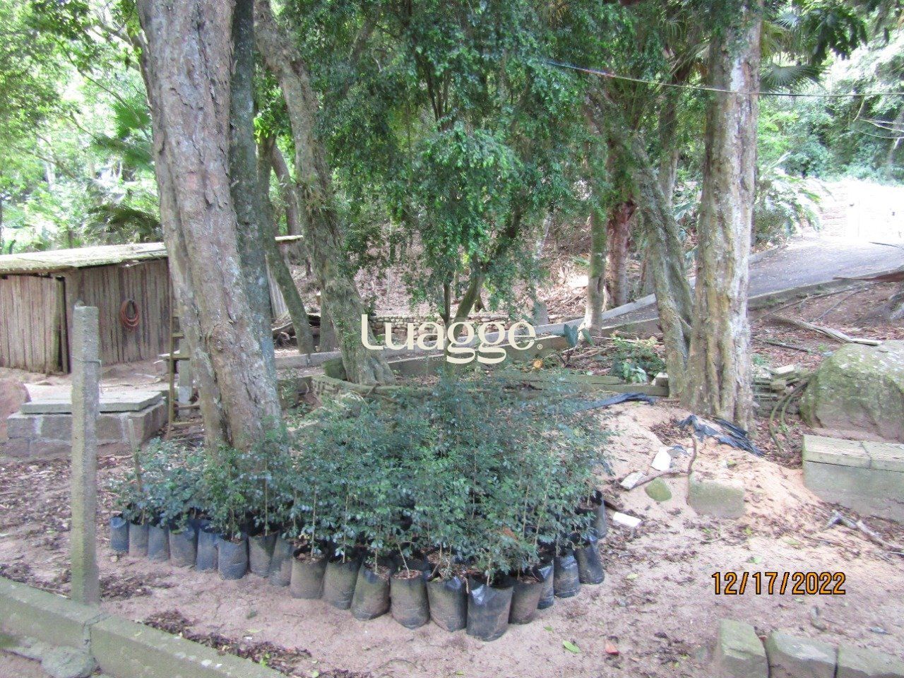 Terreno à venda, 12918m² - Foto 12